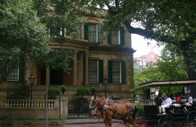 horse drawn carriage